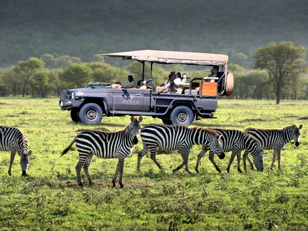 Common Travel Mistakes to Avoid in Serengeti National Park