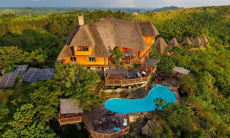 Types of Uganda Safaris: Choosing the Right Experience for You
