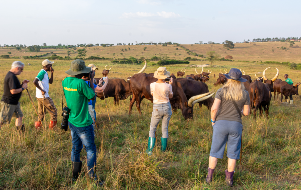 Agrotourism in Uganda: Where Farm Life Meets the Wild
