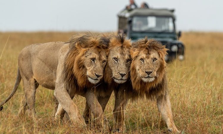 How to Combine Culture, Wildlife, and Scenery in One East African Trip