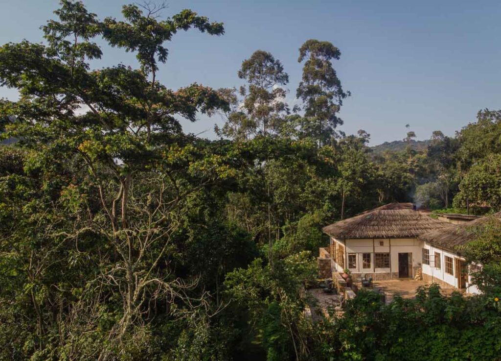 Bwindi Lodge: A Serene Luxury Stay for Gorilla MomentsNestled near the rainforest landscapes of Bwindi Impenetrable National Park, Bwindi Lodge is a favorite for travelers who want comfortable luxury while staying close to the heart of Uganda’s most unforgettable wildlife encounters. For guests planning gorilla trekking, this kind of lodge offers the perfect balance: a relaxing retreat after the forest, paired with convenient access to the day’s important plans and transfers.One of the greatest highlights of Bwindi Lodge is the sense of calm it provides. After an early start—especially for gorilla trekking—you’ll want a place where you can slow down, unwind, and enjoy a peaceful evening. Bwindi Lodge delivers that comfort through well-kept rooms, warm hospitality, and a welcoming atmosphere that feels restorative after the intensity of the trek.
Perfect for Uganda safaris in Bwindi