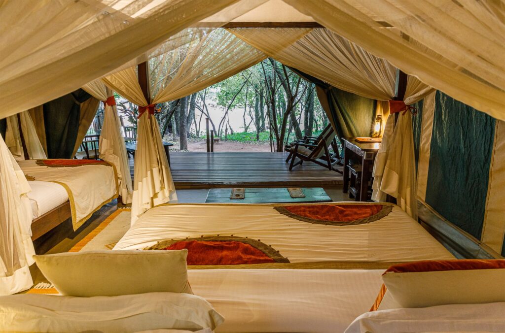 Camping Under the Stars: Top Bush Camps in Kenya