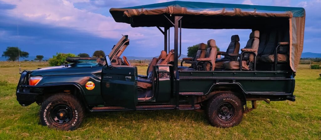 Luxury vs Budget: What You Need to Know When Planning a Uganda Safari