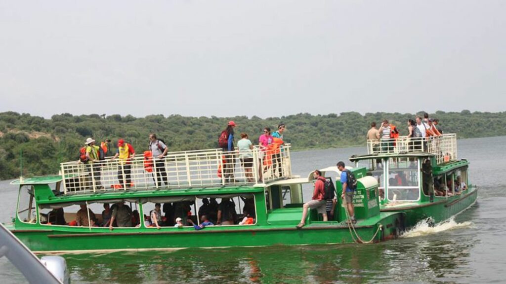Buffalo Safari Lodge: Your Gateway to Uganda’s Wild Heart in Queen Elizabeth National Park