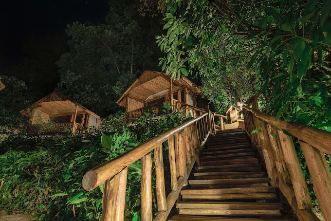 Luxury Accommodations in Bwindi Impenetrable National Park: Where Comfort Meets Gorilla Magic