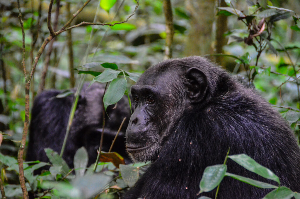 How to Combine Culture, Wildlife, and Scenery in One East African Trip