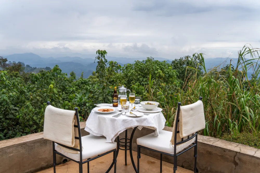 Luxury Accommodations in Bwindi Impenetrable National Park: Where Comfort Meets Gorilla Magic