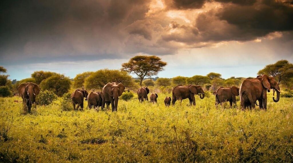 How to Combine Culture, Wildlife, and Scenery in One East African Trip