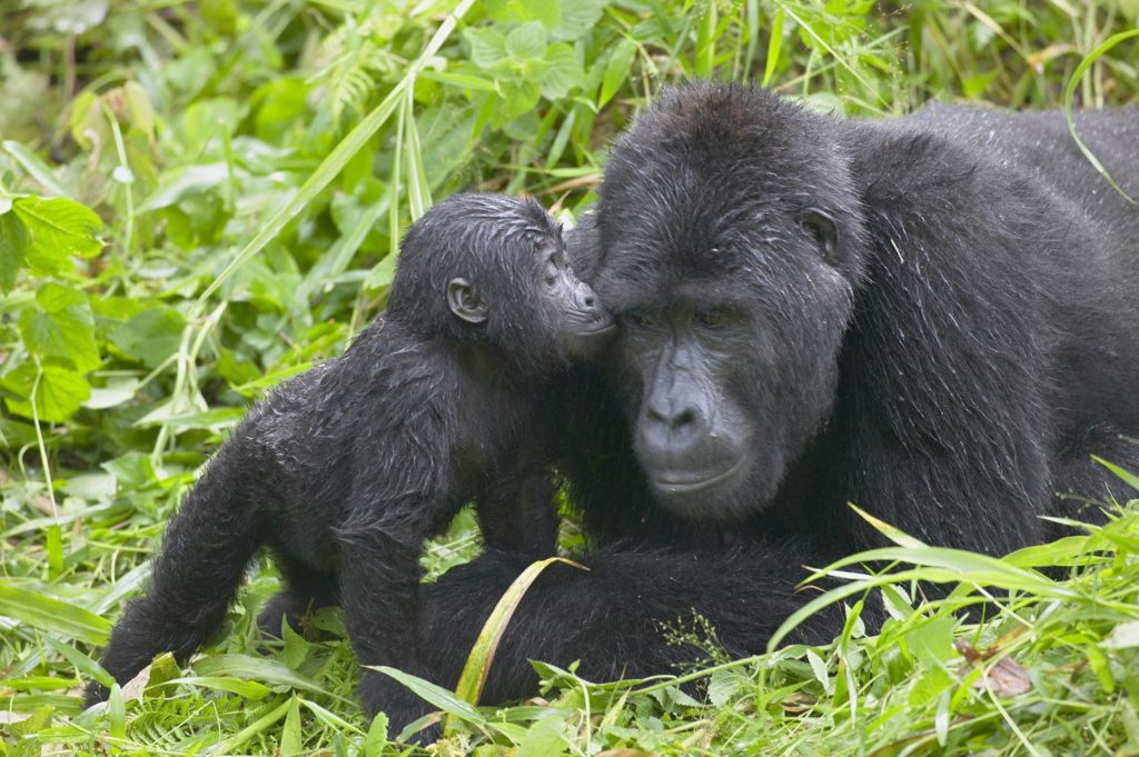 How to Combine Culture, Wildlife, and Scenery in One East African Trip