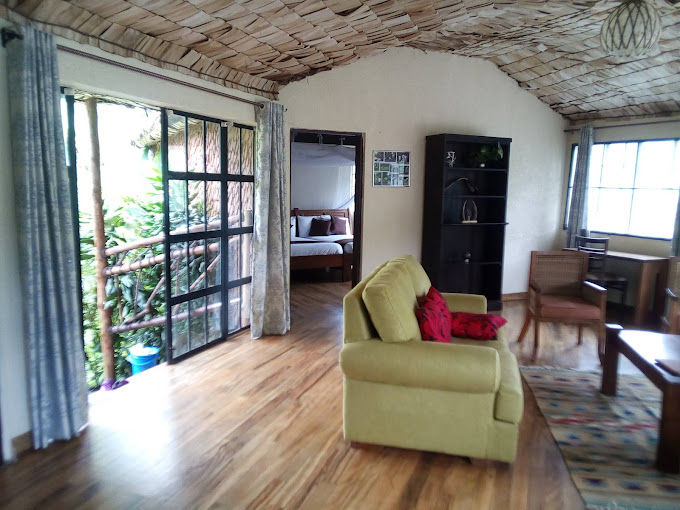 Luxury Accommodations in Bwindi Impenetrable National Park: Where Comfort Meets Gorilla Magic