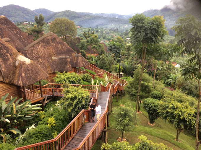 Luxury Accommodations in Bwindi Impenetrable National Park: Where Comfort Meets Gorilla Magic