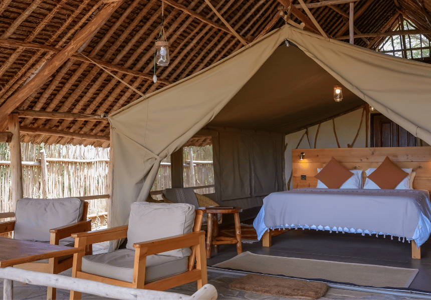 Camping Under the Stars: Top Bush Camps in Kenya