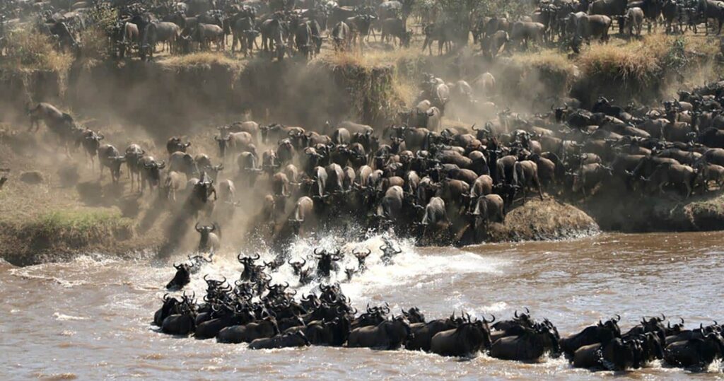 How to Combine Culture, Wildlife, and Scenery in One East African Trip