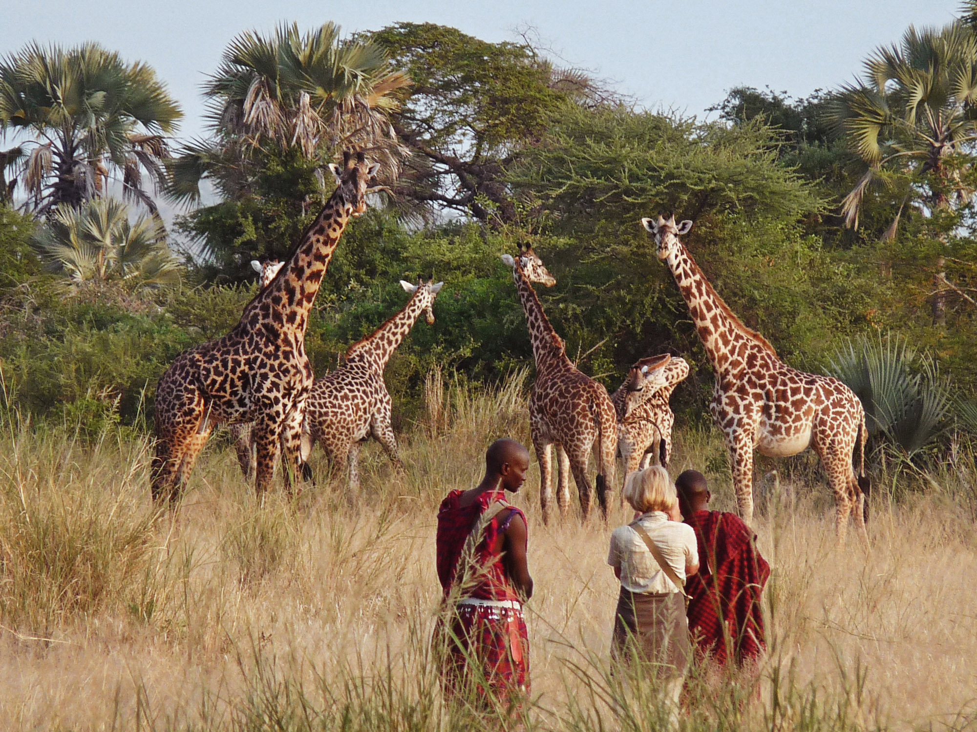 Why Wellness Safaris Are the Next Big Trend in Tanzania 2026