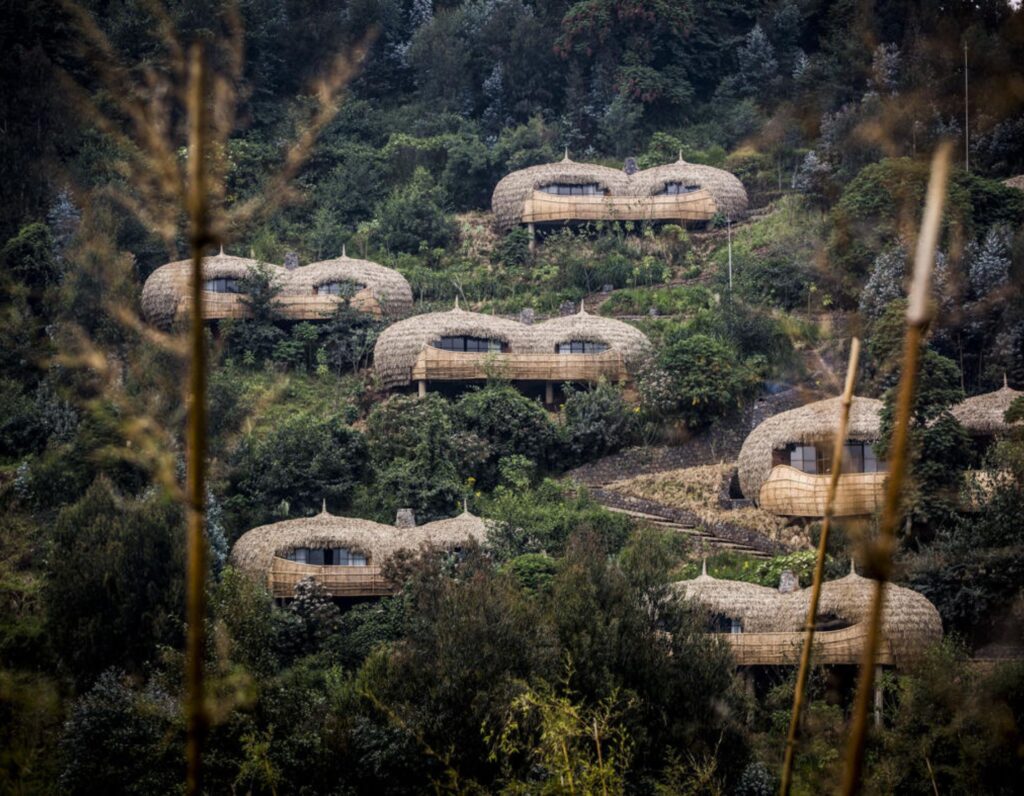 Luxury Lodges & Hotels Near Volcanoes National Park: Comfort in the Heart of Gorilla Country