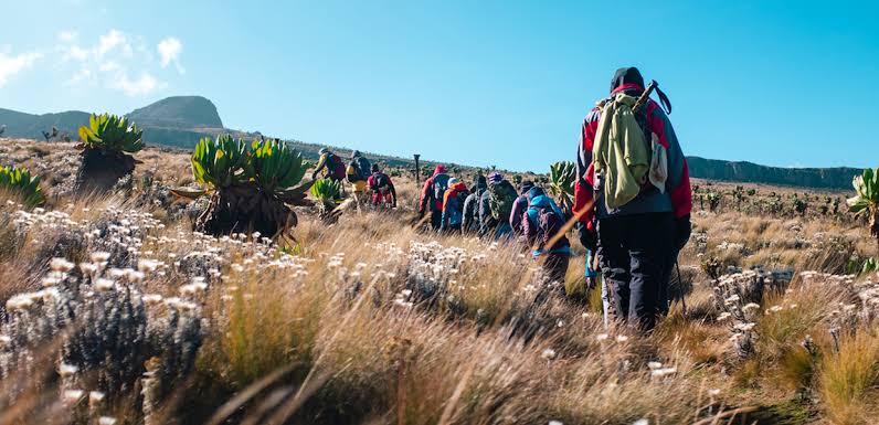 Where to Go for Mountain Climbing in Uganda