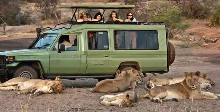 Game Drives in Ugandan National Parks: The Ultimate Wildlife Safari Experience