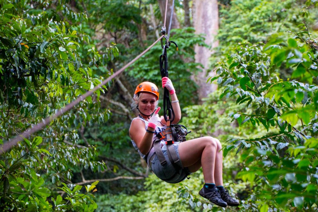 Mabira Forest in Uganda: A Green Escape for Birding, Forest Walks, and Uganda Safaris