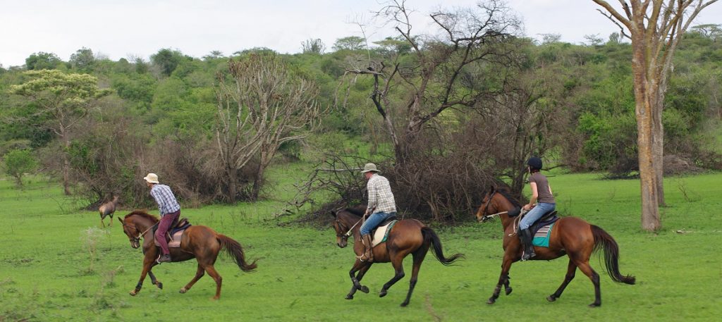 Exploring Kabwoya Game Reserve: A Pristine Uganda Safari Experience