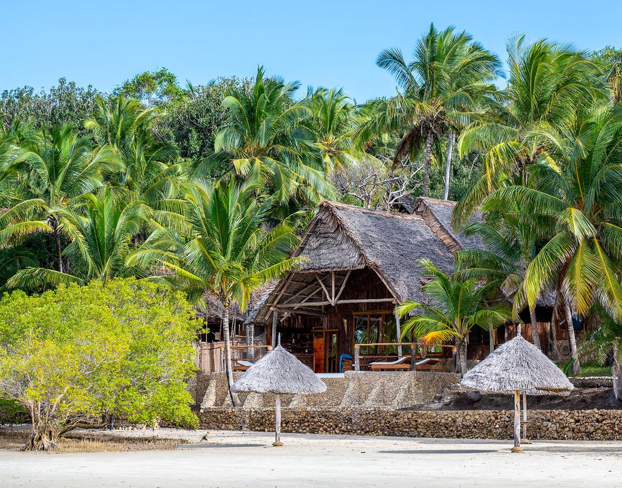 Mafia Island: A Hidden Gem Off Tanzania’s Coast