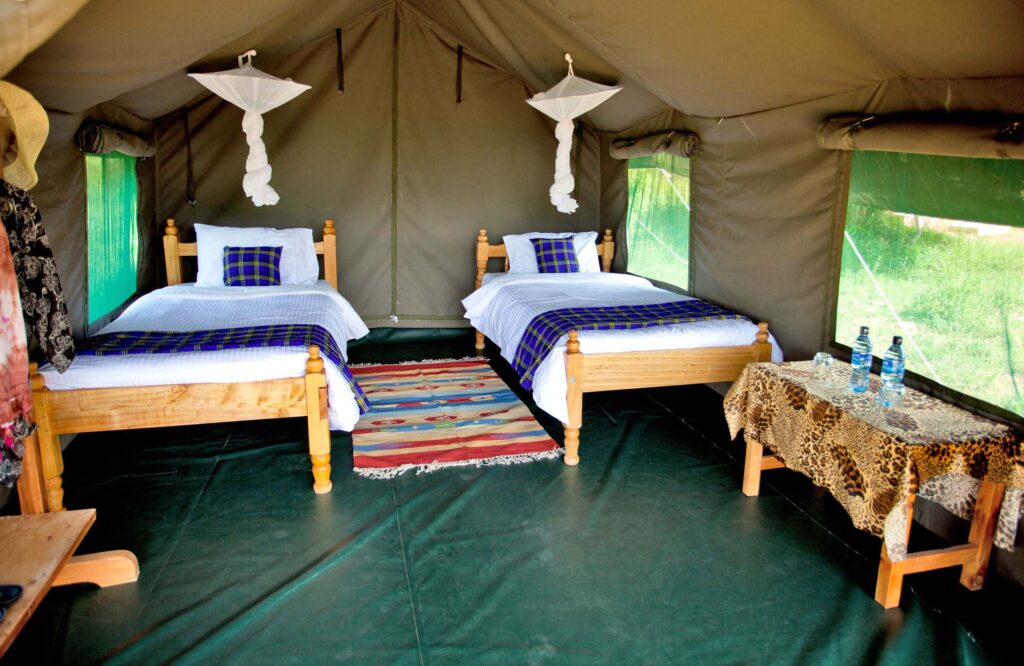 Uganda Budget Safaris: Affordable Adventures Without Cutting Corners