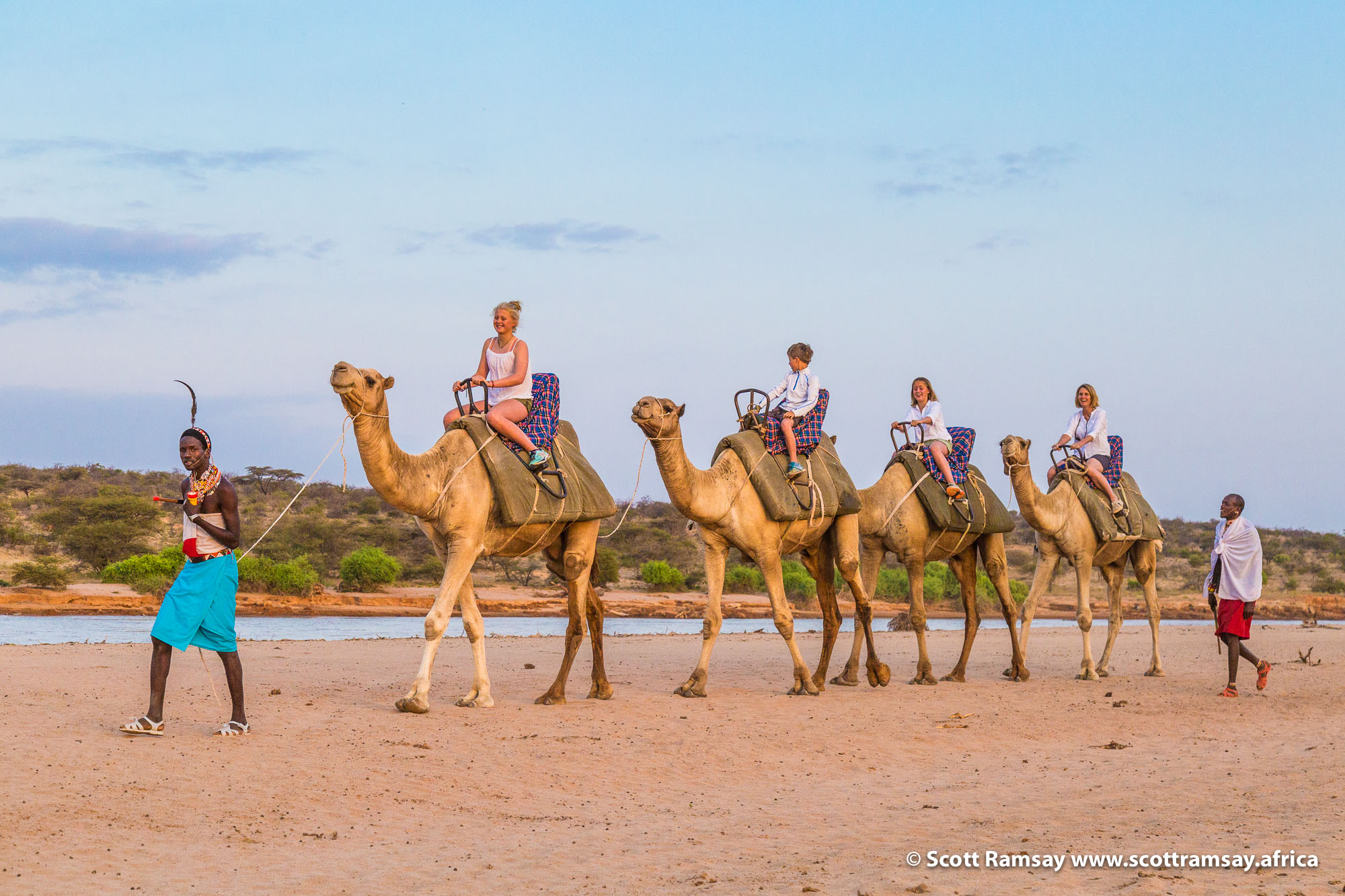 Camel Trekking in Samburu Reserve: A Different Kind of Kenya Safari