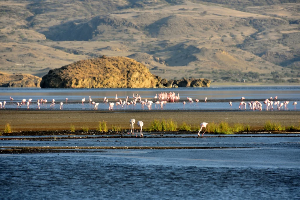Explore Five Famous Lakes of Tanzania