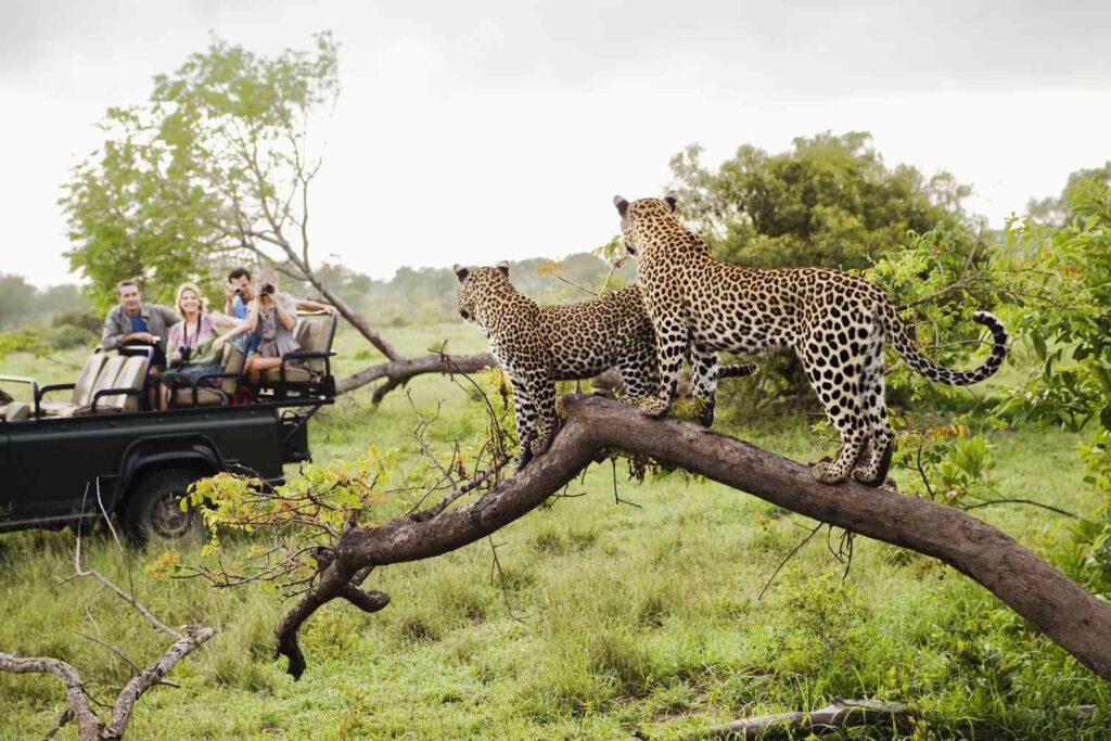 Top 10 Best Places to Visit in Africa in 2027