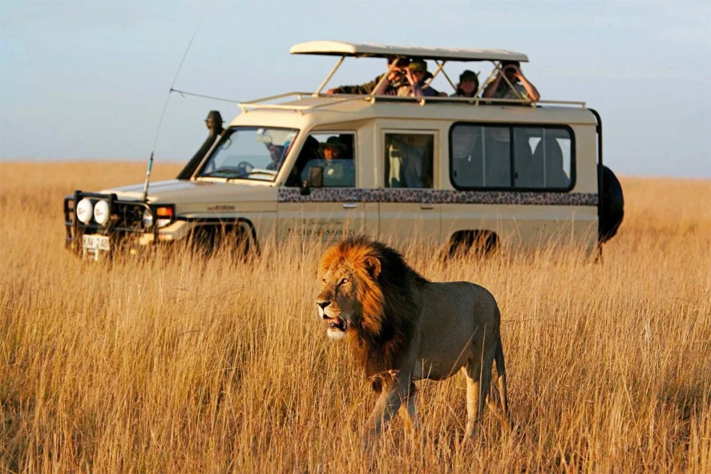 Best Safari in East Africa