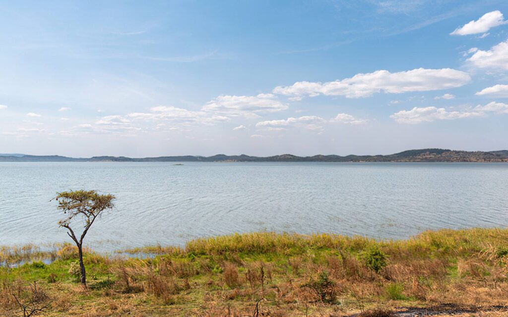 Burigi Chato National Park: A Hidden Gem for Adventurous Tanzania Safaris