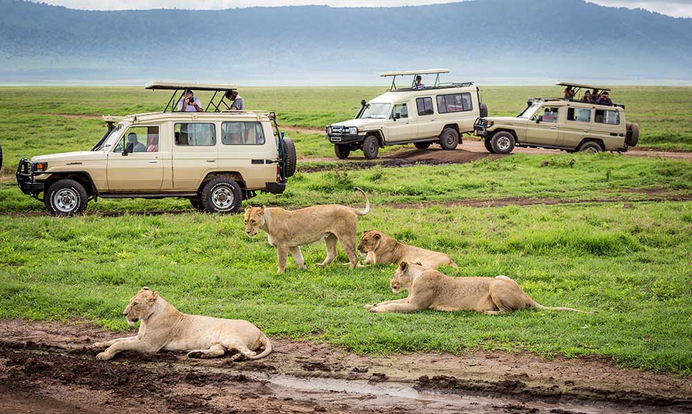 Ngorongoro: The Great Safari Experience in Tanzania
