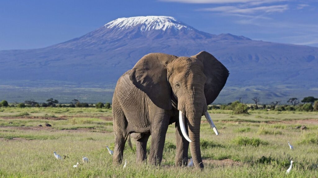 Best Destinations for Luxury Trips in Kenya