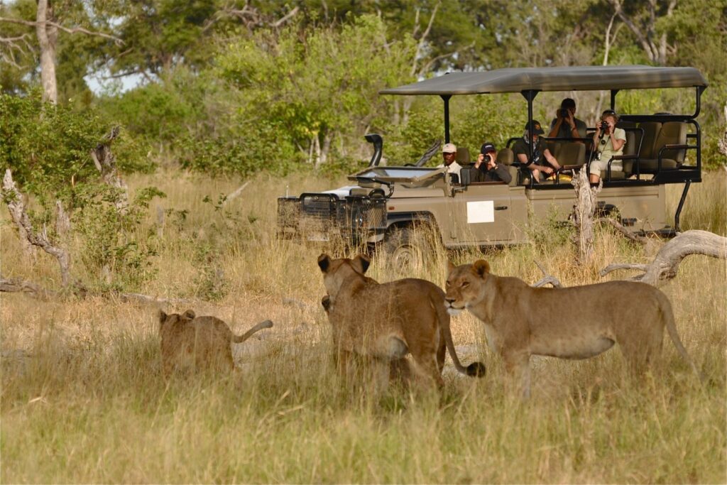 Discover Papa’s Camp in Murchison Falls National Park