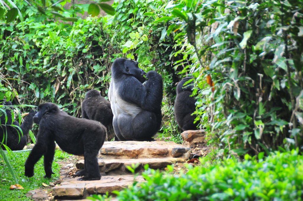 Top 10 Best Places to Visit in Africa in 2027