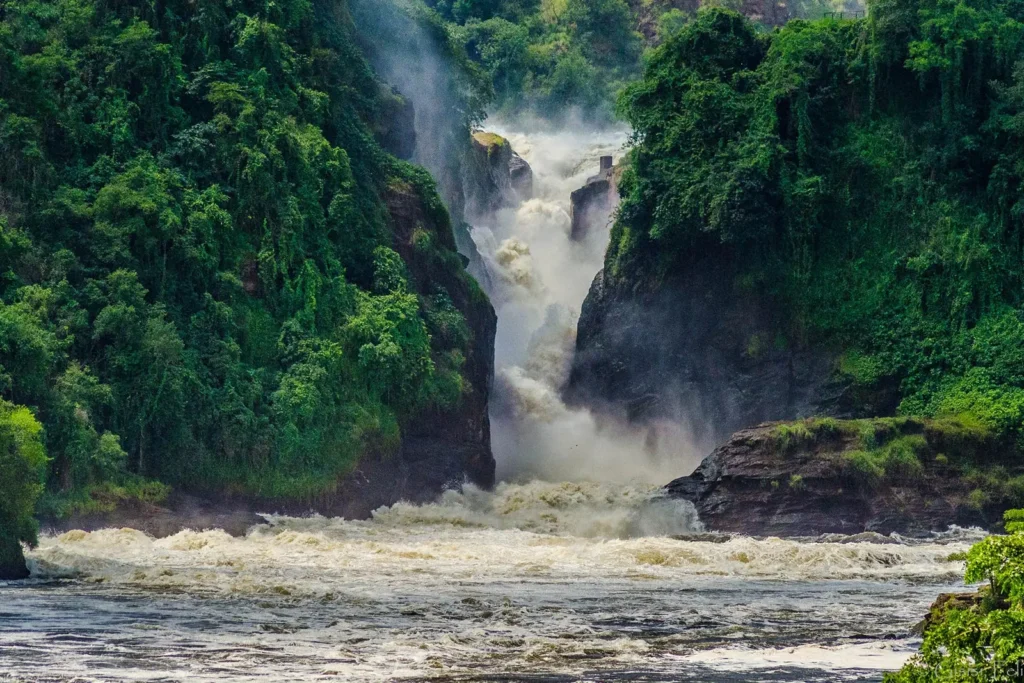 Discover Papa’s Camp in Murchison Falls National Park